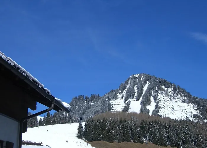 Haus Amann Apartment *