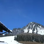 Haus Amann Apartmán *